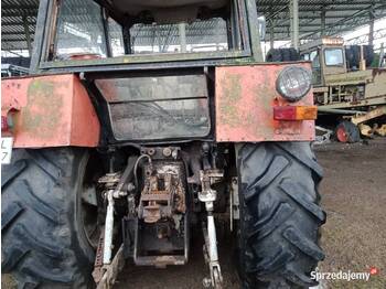 Ursus Ursus 1201 rejestracja raty zami dowóz - Farm tractor