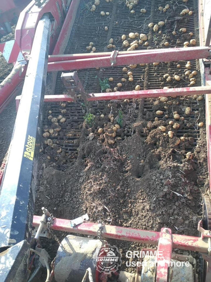 Potato harvester Grimme GT 300: picture 4