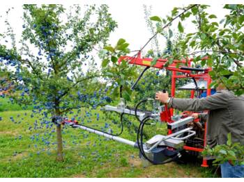Harvester Jagoda otrząsarka do owoców pestkowych: picture 1