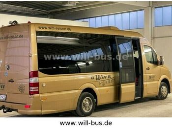 Minibus, Passenger van Mercedes-Benz 516 Sprinter LIFT KLIMA Mobiliy Touristik  RAMPE: picture 1