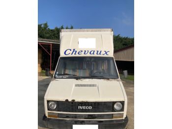 Closed box van IVECO DAILY: picture 1