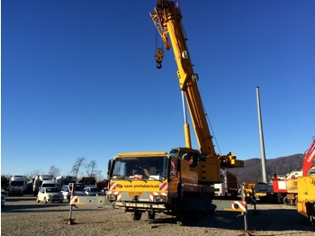 Mobile crane LIEBHERR Autogru LTM 1070/1: picture 1