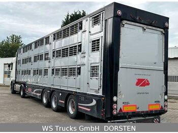 Finkl 3 Stock  Vollausstattung Hubdach  - Livestock semi-trailer