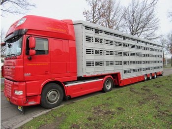 New Livestock semi-trailer Pezzaioli SBA**: picture 1