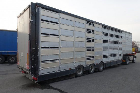 Livestock semi-trailer Pezzaioli SBA32/G , 5 Stock , Viehtransporter  , Tränkeranlage,: picture 4
