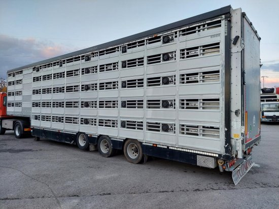Livestock semi-trailer Pezzaioli SBA32/G , 5 Stock , Viehtransporter  , Tränkeranlage,: picture 2