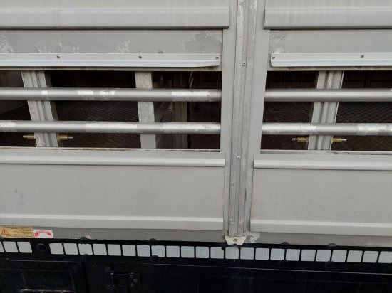 Livestock semi-trailer Pezzaioli SBA32/G , 5 Stock , Viehtransporter  , Tränkeranlage,: picture 12