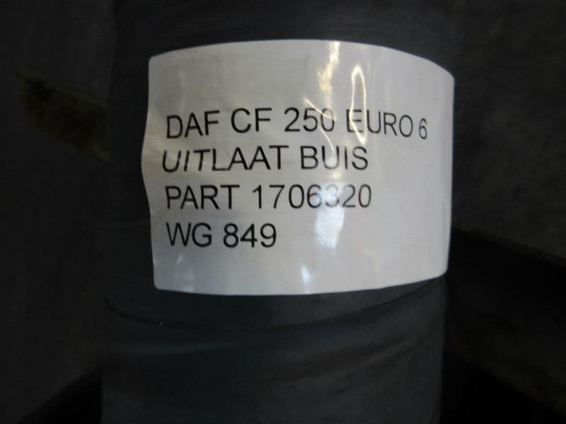 Muffler/ Exhaust system for Truck DAF 1706320 UITLAAT BUIS DAF CF 250 EURO 6: picture 4