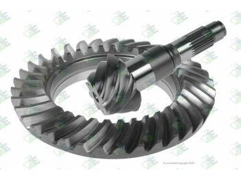  AM Gears 81078 Masiero Tellerrad Kegel 904.350.0039 602.350.2539 - Gearbox and parts