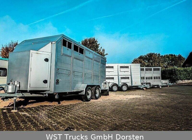 New Livestock trailer Menke-Janzen Menke Tandem 3,5 to Vollalu " Neu" Viehanhänger: picture 20