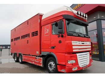 Livestock truck DAF XF 105 XF105-460: picture 1