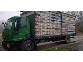 Box truck IVECO EuroCargo 180E