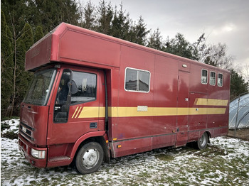 Horse truck IVECO