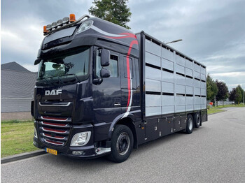 DAF XF 460 2017 berdex 3 lagen varkens - Livestock truck