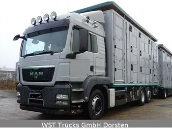 Livestock truck MAN TGX 26.440 LXL Menke   3 Stock Vollalu: picture 1
