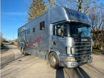 Livestock truck Scania Pferdetransporter: picture 1
