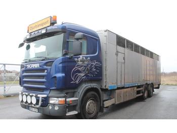 Livestock truck Scania R480 LB 6X2*4 HNB: picture 1