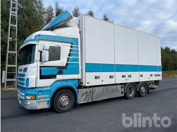 Refrigerator truck Scania R730 LB6x2*4MNB: picture 1