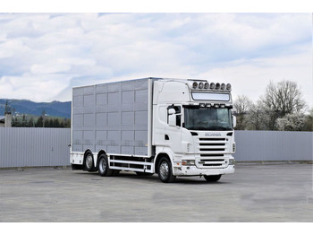 Livestock truck Scania R 500 TIERTRANSPORTWAGEN 7,10m / 4STOCK: picture 2