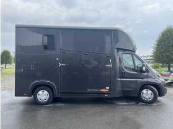 Fiat Böckmann Compact Basic LKW - Horse truck: picture 1