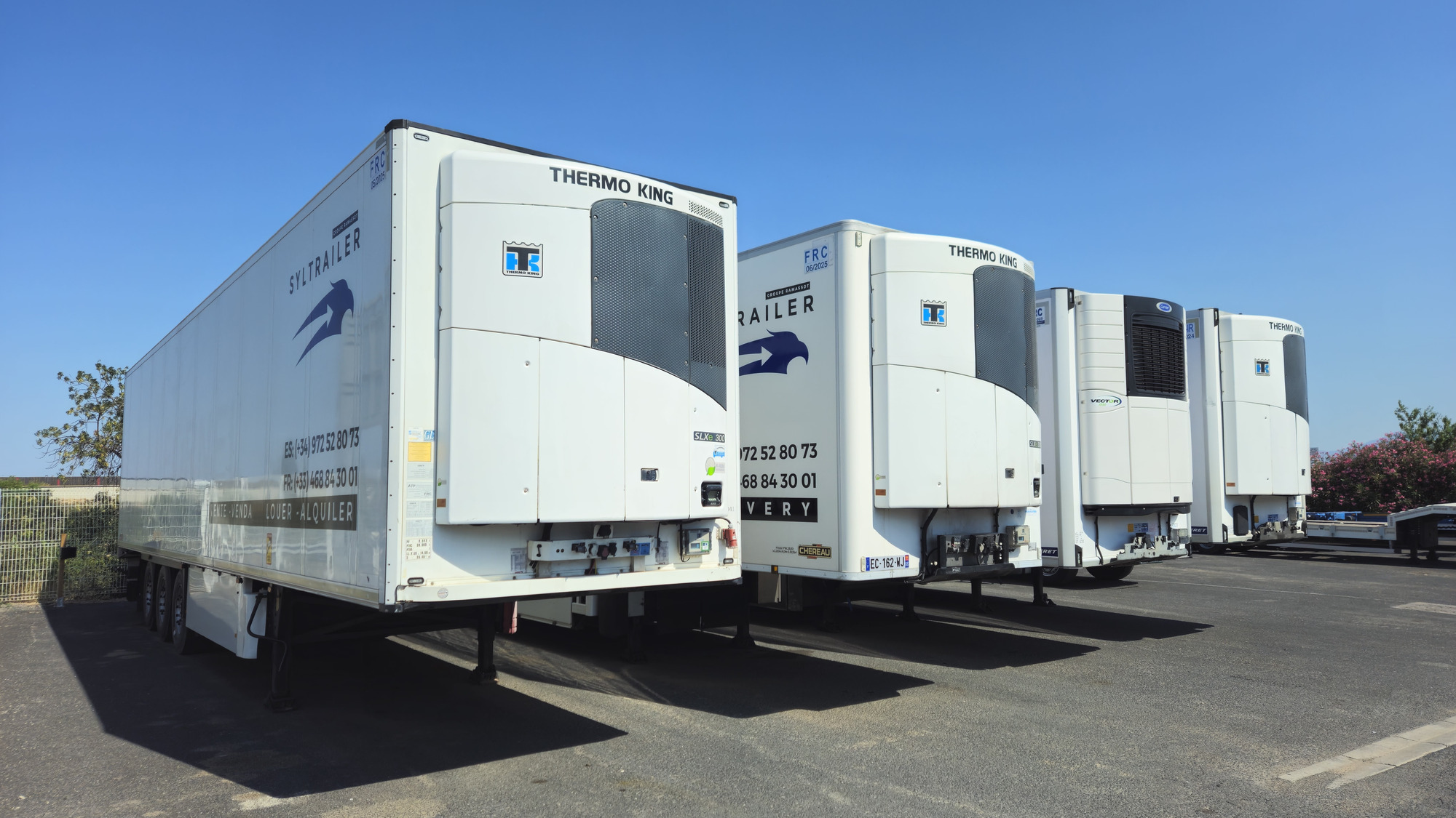 SYLTRAILER/ RAMASSOT undefined: picture 2