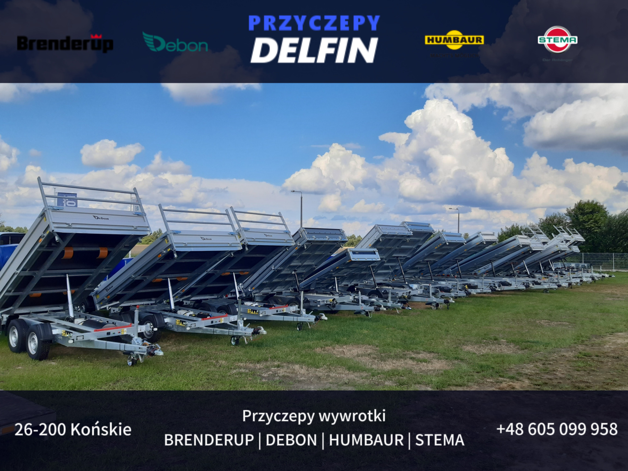 ZPHU DELFIN Gruszkiewicz Andrzej - vehicles for sale undefined: picture 2