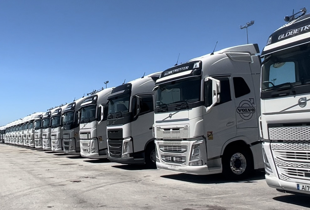 Butterfly Secret, Lda - Buses undefined: picture 1