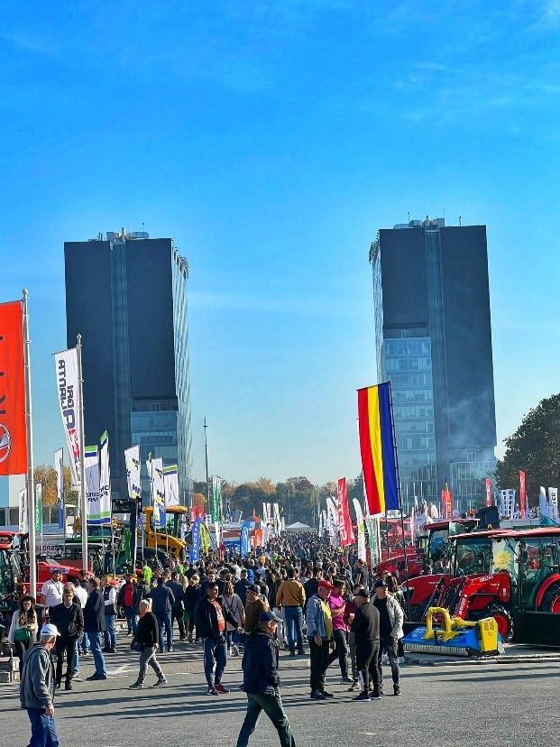 INDAGRA undefined: picture 2