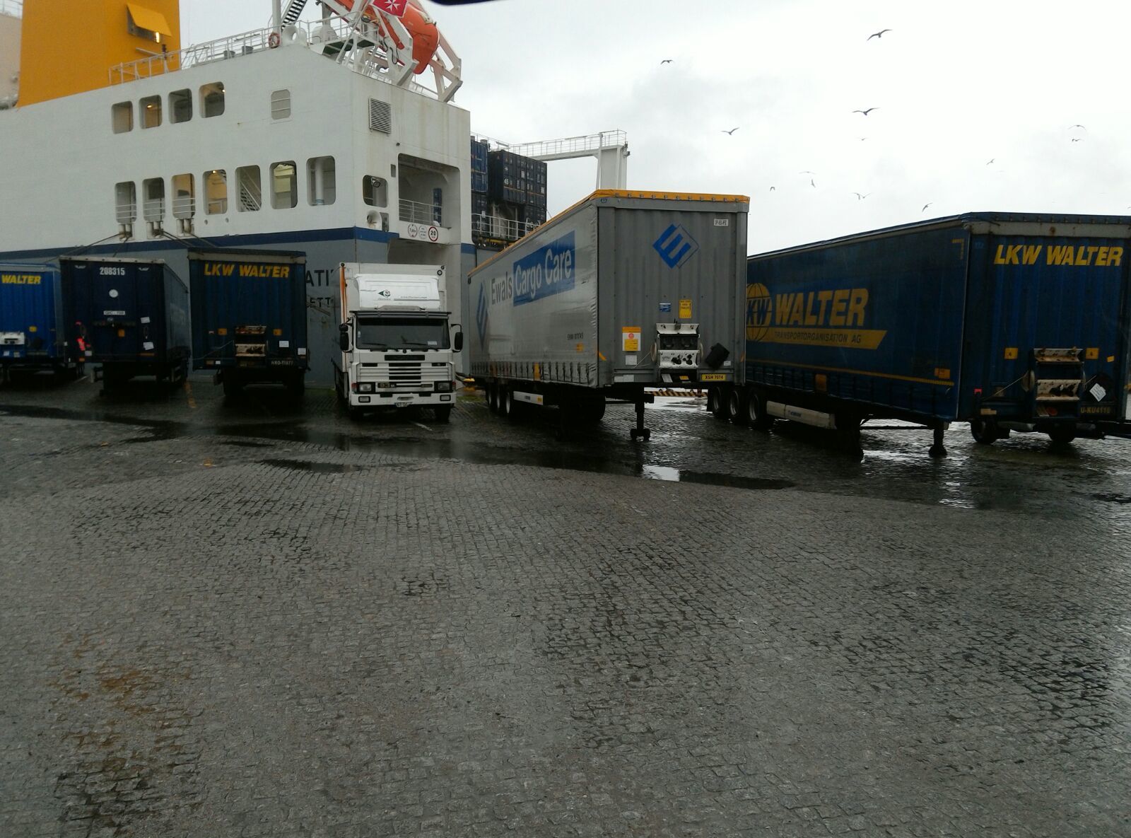 Britannia Export Consultants Limited undefined: picture 18