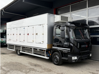 Refrigerator truck IVECO