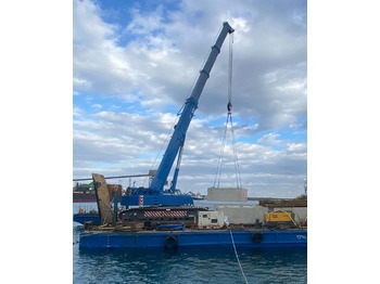 Crawler crane LIEBHERR