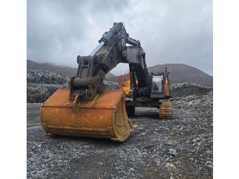 Crawler excavator Volvo EC950FL: picture 4