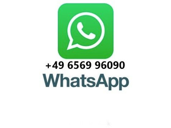 MAN TGA 18.360 4x4 Winterdienst Meiller Abroller leasing MAN TGA 18.360 4x4 Winterdienst Meiller Abroller: picture 2