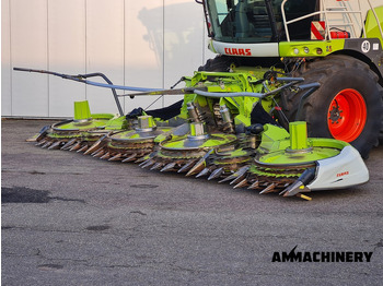 Maize harvester CLAAS