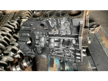 Engine and parts MANITOU