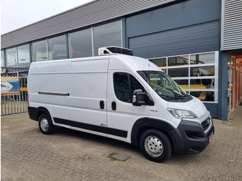 Refrigerated delivery van FIAT Ducato Maxi