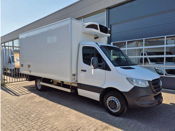 Refrigerated delivery van MERCEDES-BENZ Sprinter 519
