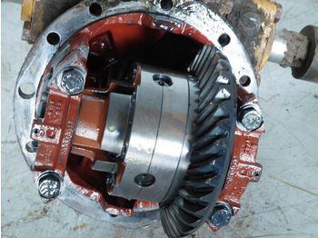 Differential gear ZF