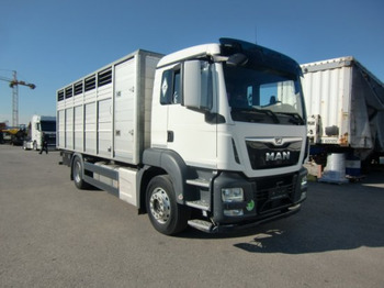 Horse truck MAN TGS 18.420 Tiertransporter,Euro 6, Manual Seilwinde, el. Ladebordwand Voll Luft: picture 3