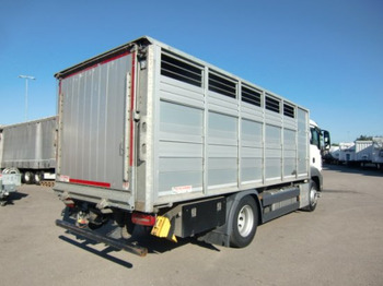 Horse truck MAN TGS 18.420 Tiertransporter,Euro 6, Manual Seilwinde, el. Ladebordwand Voll Luft: picture 4