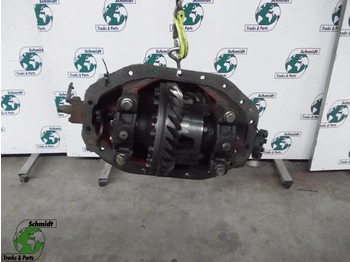 Differential gear DAF