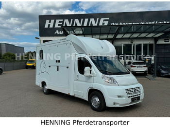 Horse truck FIAT Ducato