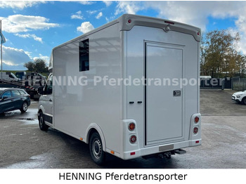 New Horse truck MAN TGE 3 - Sitzer *1100 Kg NUTZLAST*: picture 5