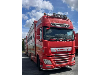Livestock truck DAF XF 530