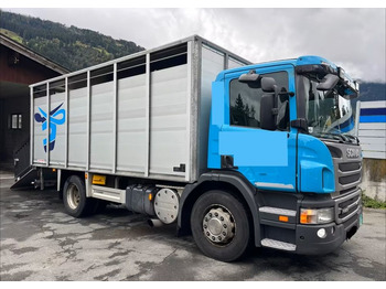 Scania P280 4x2 – Pojazd do przewozu zwierząt VIEHFAHRZEUG / jednopoziomowy – 171.000 km!! – Euro 5 leasing Scania P280 4x2 – Pojazd do przewozu zwierząt VIEHFAHRZEUG / jednopoziomowy – 171.000 km!! – Euro 5: picture 2 Scania P280 4x2 – Pojazd do przewozu zwierząt VIEHFAHRZEUG / jednopoziomowy – 171.000 km!! – Euro 5 leasing Scania P280 4x2 – Pojazd do przewozu zwierząt VIEHFAHRZEUG / jednopoziomowy – 171.000 km!! – Euro 5: picture 2