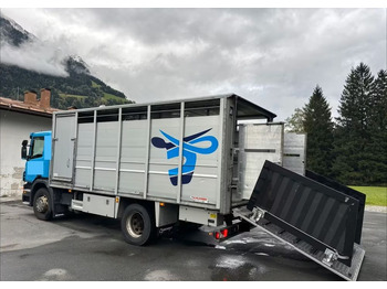 Scania P280 4x2 – Pojazd do przewozu zwierząt VIEHFAHRZEUG / jednopoziomowy – 171.000 km!! – Euro 5 leasing Scania P280 4x2 – Pojazd do przewozu zwierząt VIEHFAHRZEUG / jednopoziomowy – 171.000 km!! – Euro 5: picture 5 Scania P280 4x2 – Pojazd do przewozu zwierząt VIEHFAHRZEUG / jednopoziomowy – 171.000 km!! – Euro 5 leasing Scania P280 4x2 – Pojazd do przewozu zwierząt VIEHFAHRZEUG / jednopoziomowy – 171.000 km!! – Euro 5: picture 5