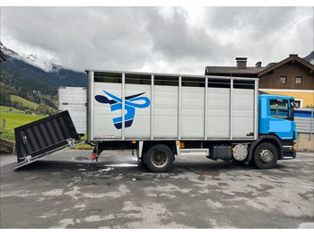 Scania P280 4x2 – Pojazd do przewozu zwierząt VIEHFAHRZEUG / jednopoziomowy – 171.000 km!! – Euro 5 leasing Scania P280 4x2 – Pojazd do przewozu zwierząt VIEHFAHRZEUG / jednopoziomowy – 171.000 km!! – Euro 5: picture 4 Scania P280 4x2 – Pojazd do przewozu zwierząt VIEHFAHRZEUG / jednopoziomowy – 171.000 km!! – Euro 5 leasing Scania P280 4x2 – Pojazd do przewozu zwierząt VIEHFAHRZEUG / jednopoziomowy – 171.000 km!! – Euro 5: picture 4