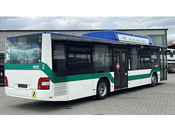 City bus MAN A 21  CNG   Euro 5  EEV: picture 3