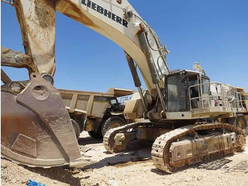 Crawler excavator LIEBHERR