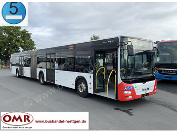 Articulated bus MAN Lion's City A23